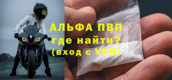 молекула духа Ладушкин