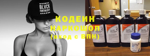 молекула духа Ладушкин