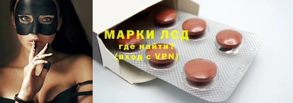 молекула духа Ладушкин