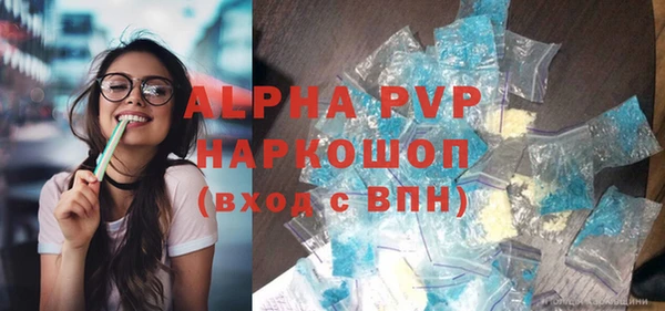 молекула духа Ладушкин