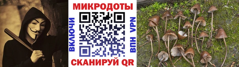 KRAKEN ссылки  Таруса  даркнет формула  Галлюциногенные грибы GOLDEN TEACHER 